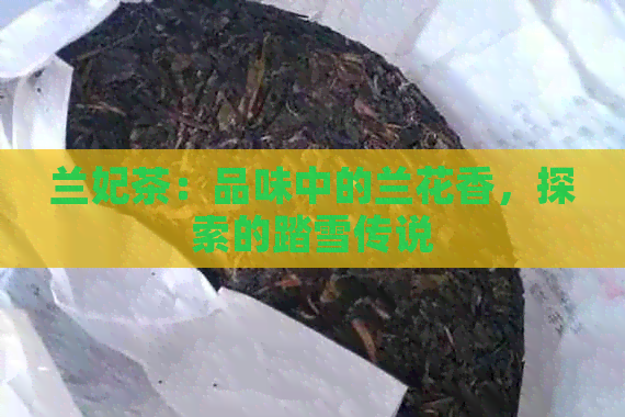 兰妃茶：品味中的兰花香，探索的踏雪传说