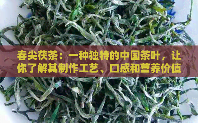 春尖茯茶：一种独特的中国茶叶，让你了解其制作工艺、口感和营养价值