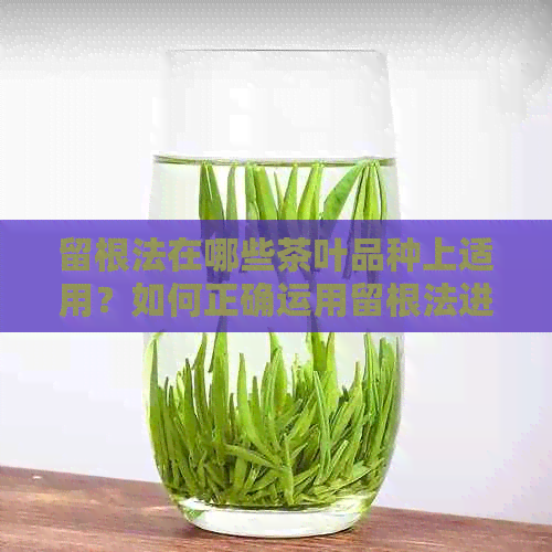 留根法在哪些茶叶品种上适用？如何正确运用留根法进行茶叶种植？