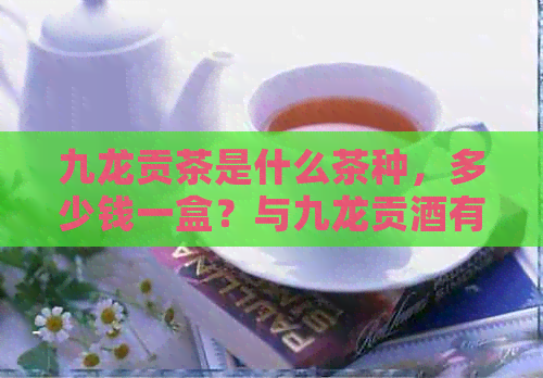 九龙贡茶是什么茶种，多少钱一盒？与九龙贡酒有何关系？