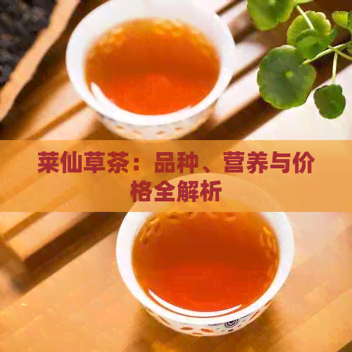 莱仙草茶：品种、营养与价格全解析