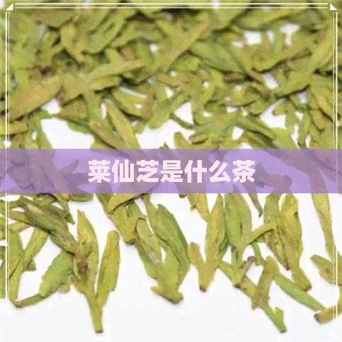 莱仙芝是什么茶