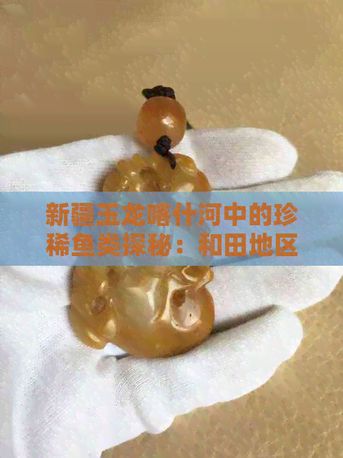 新疆玉龙喀什河中的珍稀鱼类探秘：和田地区的生态宝藏