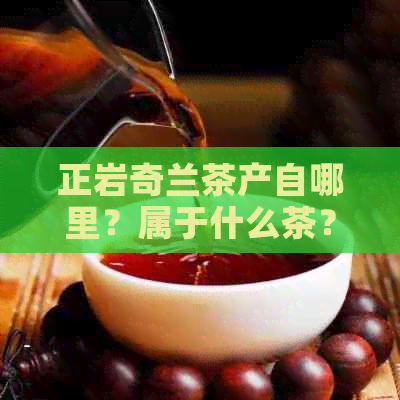 正岩奇兰茶产自哪里？属于什么茶？价格是多少？