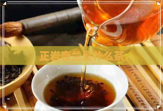 正岩奇兰是什么茶