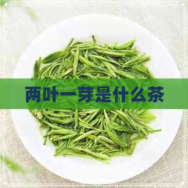 两叶一芽是什么茶