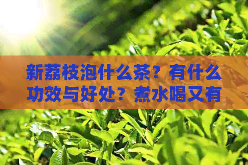 新荔枝泡什么茶？有什么功效与好处？煮水喝又有哪些功效？请告诉我。