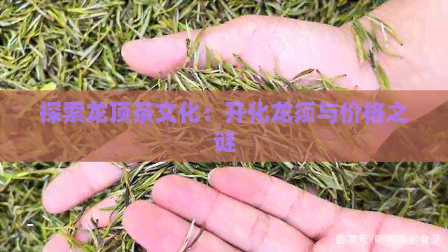 探索龙顶茶文化：开化龙须与价格之谜