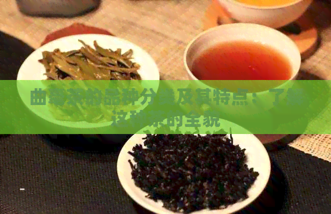 曲毫茶的品种分类及其特点：了解这种茶的全貌