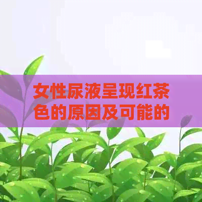 女性尿液呈现红茶色的原因及可能的疾病：疼痛是否为必要症状？