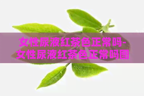 女性尿液红茶色正常吗-女性尿液红茶色正常吗图片