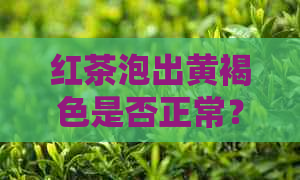 红茶泡出黄褐色是否正常？了解可能的原因和正确冲泡方法