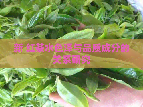 新 红茶水色泽与品质成分的关系研究