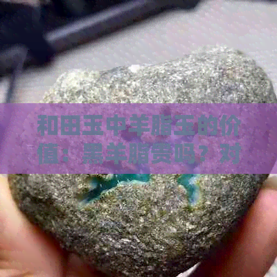 和田玉中羊脂玉的价值：黑羊脂贵吗？对比墨玉与翡翠