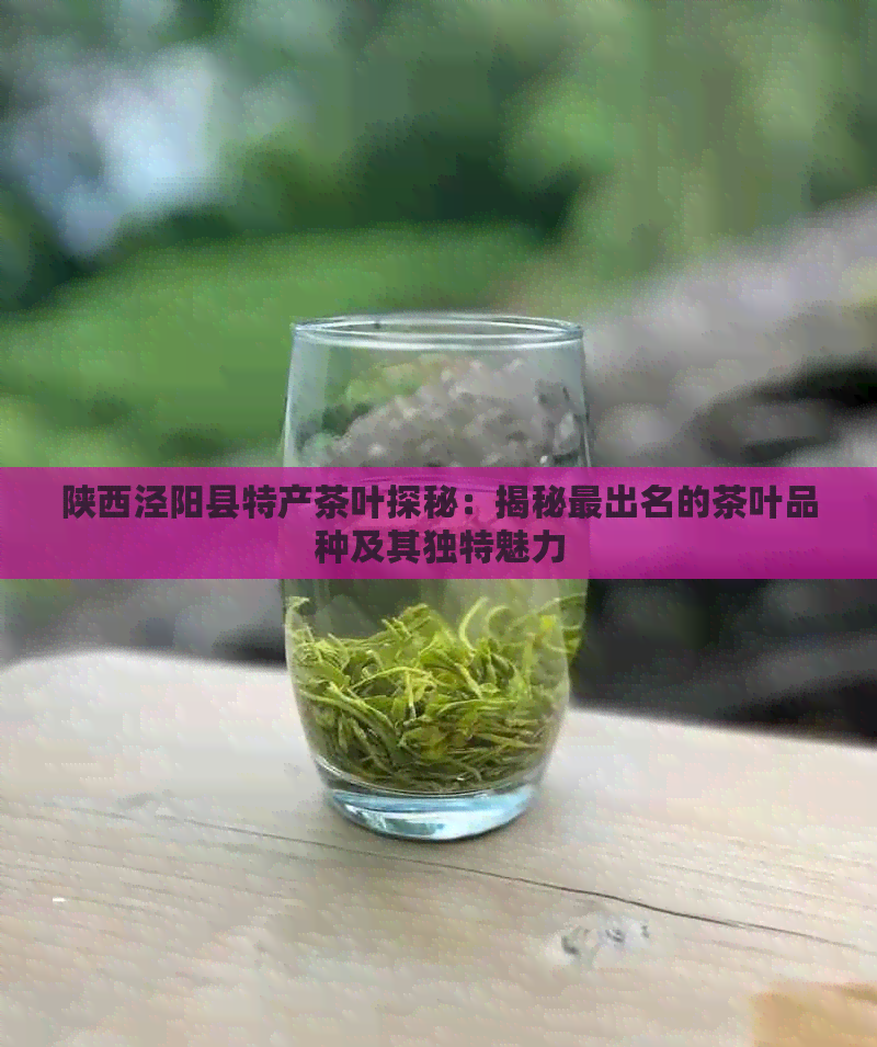 陕西泾阳县特产茶叶探秘：揭秘最出名的茶叶品种及其独特魅力