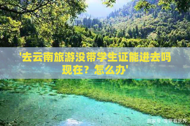 '去云南旅游没带学生证能进去吗现在？怎么办'