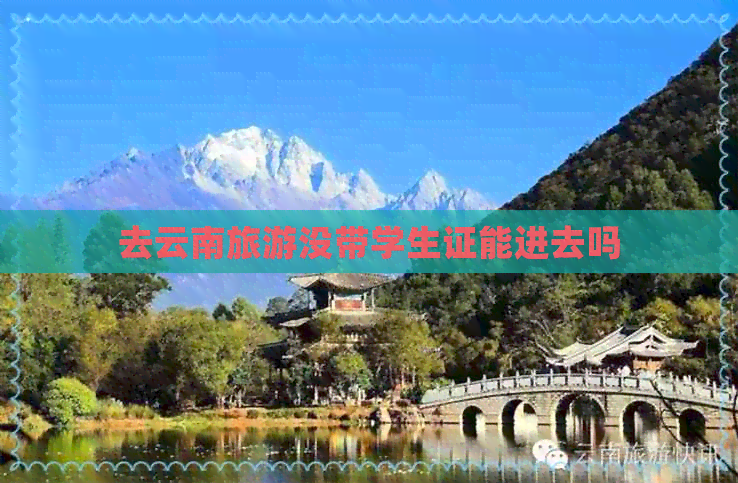 去云南旅游没带学生证能进去吗