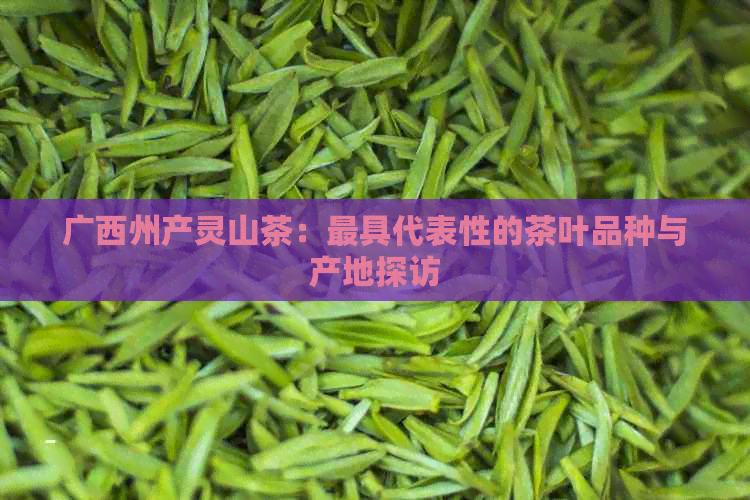 广西州产灵山茶：更具代表性的茶叶品种与产地探访