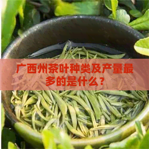 广西州茶叶种类及产量最多的是什么？