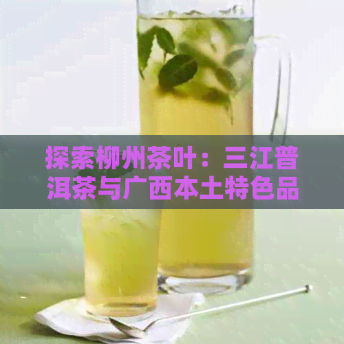 探索柳州茶叶：三江普洱茶与广西本土特色品鉴