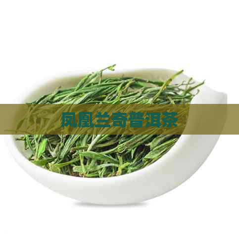 凤凰兰奇普洱茶