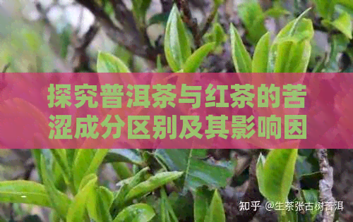 探究普洱茶与红茶的苦涩成分区别及其影响因素