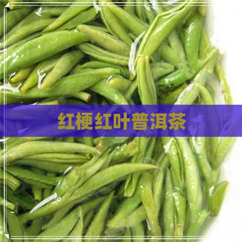 红梗红叶普洱茶