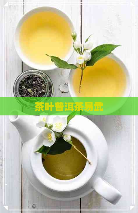 茶叶普洱茶易武