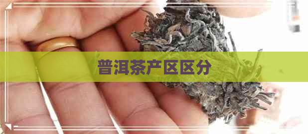 普洱茶产区区分