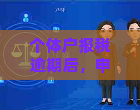 个体户报税逾期后，申报系统出现问题怎么解决？