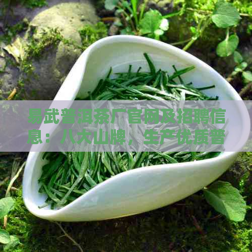 易武普洱茶厂官网及招聘信息：八大山牌，生产优质普洱茶，地址详细说明