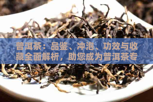 普洱茶：品鉴、冲泡、功效与收藏全面解析，助您成为普洱茶专家