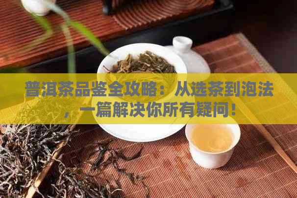 普洱茶品鉴全攻略：从选茶到泡法，一篇解决你所有疑问！