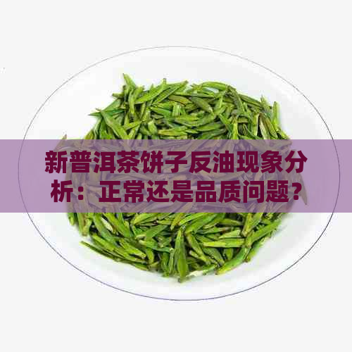 新普洱茶饼子反油现象分析：正常还是品质问题？