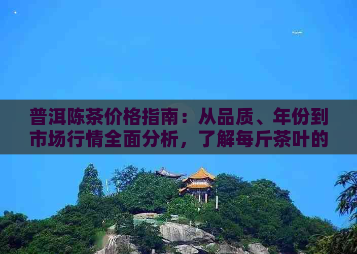 普洱陈茶价格指南：从品质、年份到市场行情全面分析，了解每斤茶叶的价值