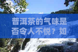 普洱茶的气味是否令人不悦？如何鉴别和处理普洱茶的馊味问题？