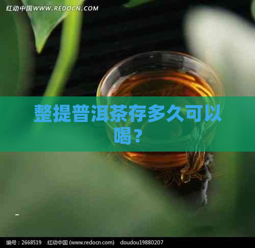 整提普洱茶存多久可以喝？