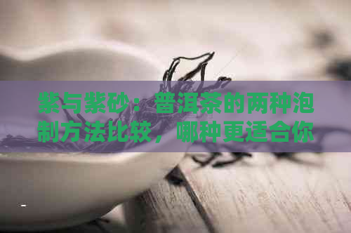 紫与紫砂：普洱茶的两种泡制方法比较，哪种更适合你？