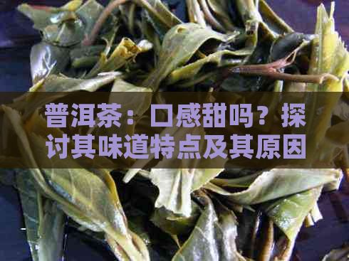 普洱茶：口感甜吗？探讨其味道特点及其原因