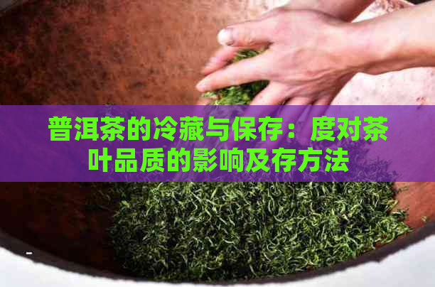 普洱茶的冷藏与保存：度对茶叶品质的影响及存方法