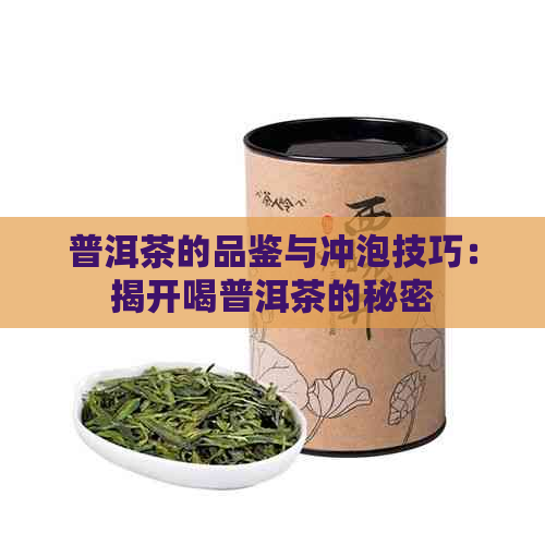 普洱茶的品鉴与冲泡技巧：揭开喝普洱茶的秘密