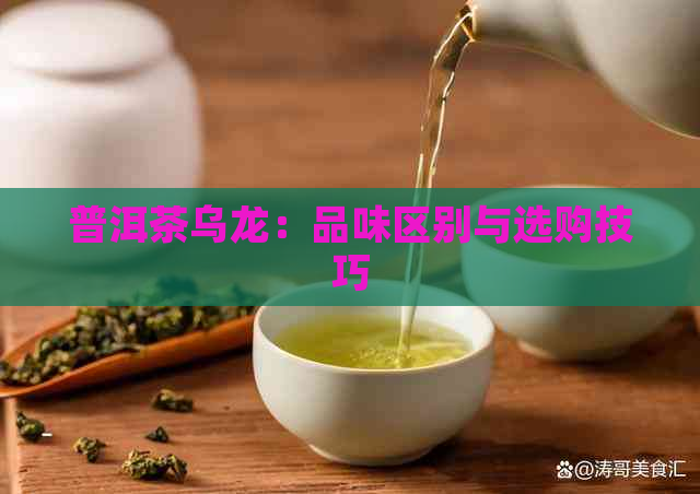 普洱茶乌龙：品味区别与选购技巧