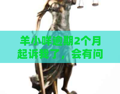 羊小咩逾期2个月起诉我了，会有问题吗？