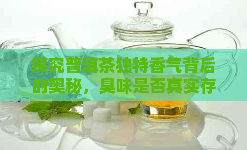 探究普洱茶独特香气背后的奥秘，臭味是否真实存在？