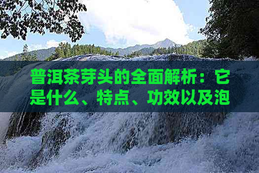 普洱茶芽头的全面解析：它是什么、特点、功效以及泡法，一篇解答所有疑问！