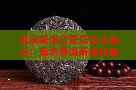 普洱茶出金星是怎么回事：揭示普洱茶独特的发酵现象