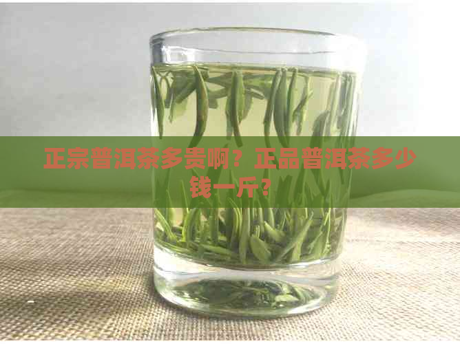 正宗普洱茶多贵啊？正品普洱茶多少钱一斤？