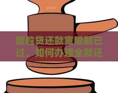 微粒贷还款宽限期已过，如何办理全款还款？用户常见问题解答