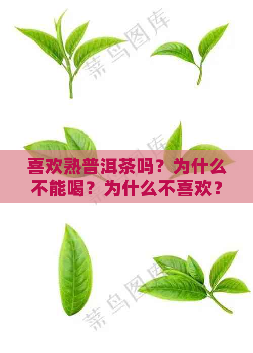 喜欢熟普洱茶吗？为什么不能喝？为什么不喜欢？喜欢普洱茶的原因是什么？