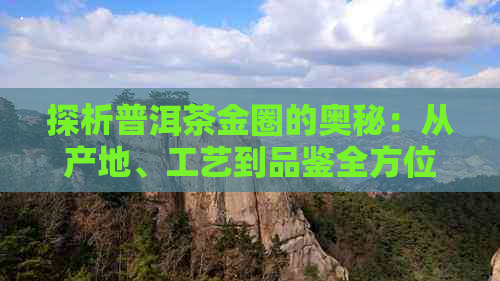 探析普洱茶金圈的奥秘：从产地、工艺到品鉴全方位解析